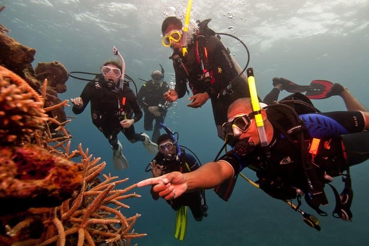 Discover Scuba Diving in Negombo: Shipwreck & Coral Reef Intro