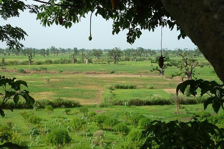 Accrobaobab Adventure: Tree-Top Park in Dakar's Baobab Forest photo 4
