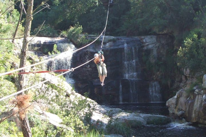 Cape Canopy Zipline Tour Elgin — Ziplining Over the Riviersonderend Gorge photo 4