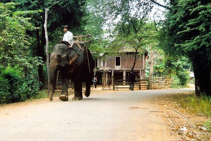 Buon Ma Thuot Waterfalls, Coffee & Cultural Day Tour with Easy Riders photo 2