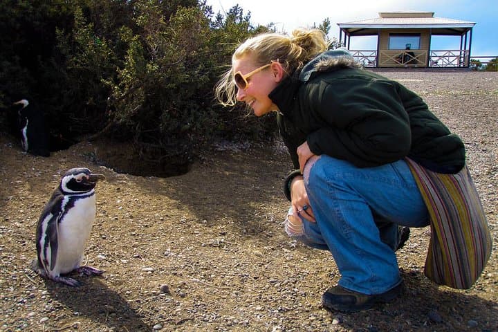 Punta Tombo Penguin Walk: Cruise Shore Excursion from Puerto Madryn photo 2