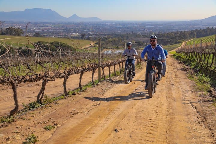 Cape Town Winelands E-Bike Half-Day Tour: Ride, Views & Wine Tasting