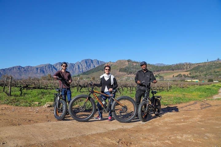 Cape Town Winelands E-Bike Half-Day Tour: Ride, Views & Wine Tasting photo 2