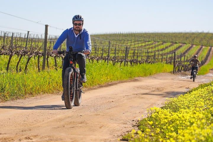 Cape Town Winelands E-Bike Half-Day Tour: Ride, Views & Wine Tasting photo 3