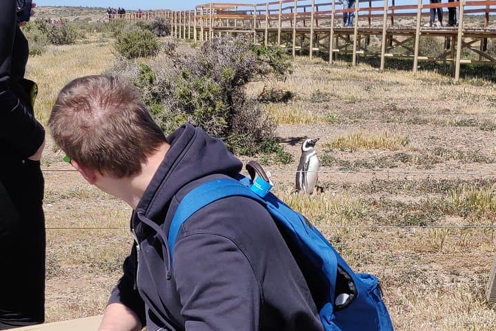 Punta Tombo Penguin Walk: Cruise Shore Excursion from Puerto Madryn photo 6