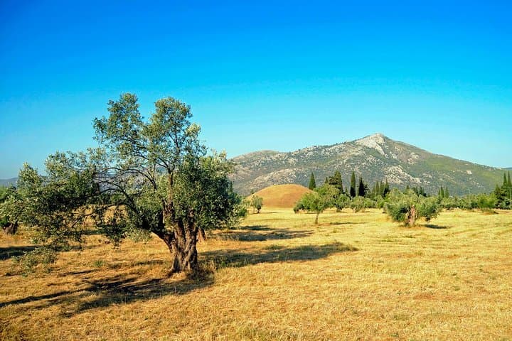 Herodotus Battlefields Private Day Tour — Marathon, Thermopylae, Thebes & Plataea (10h) photo 5