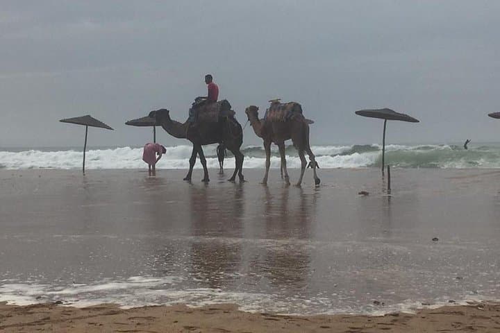 Essaouira Day Trip: Coastal Citadel, Souks & Sea Breezes photo 2