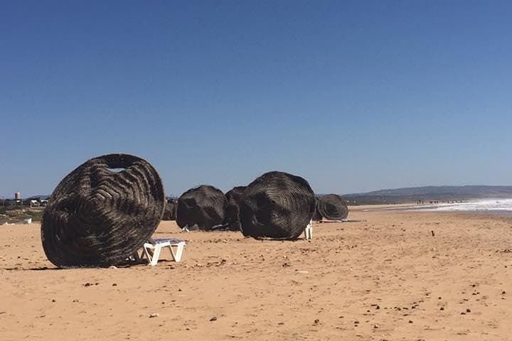 Essaouira Day Trip: Coastal Citadel, Souks & Sea Breezes photo 4