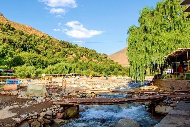 Ourika Valley Day Trip: Waterfalls, Berber Villages & Atlas Views photo 1