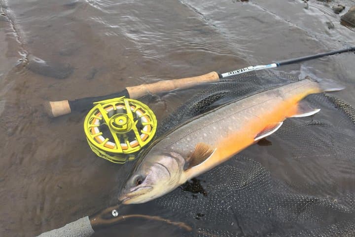 Private Holaa River Fishing from Reykjavik — Arctic Char & Brown Trout Day Trip photo 3