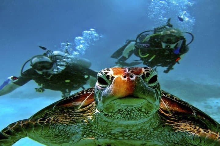 Hurghada Full-Day Diving Tour: Two Dives, Lunch & Hotel Pickup photo 2
