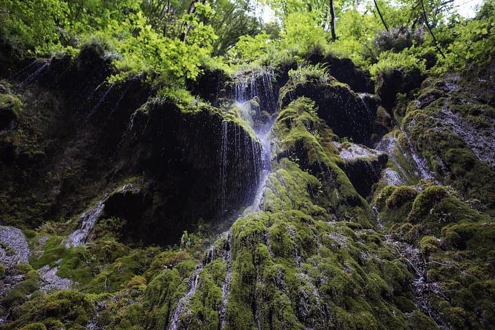 Hike Valle delle Ferriere: Subtropical Waterfall Trail on the Amalfi Coast photo 2