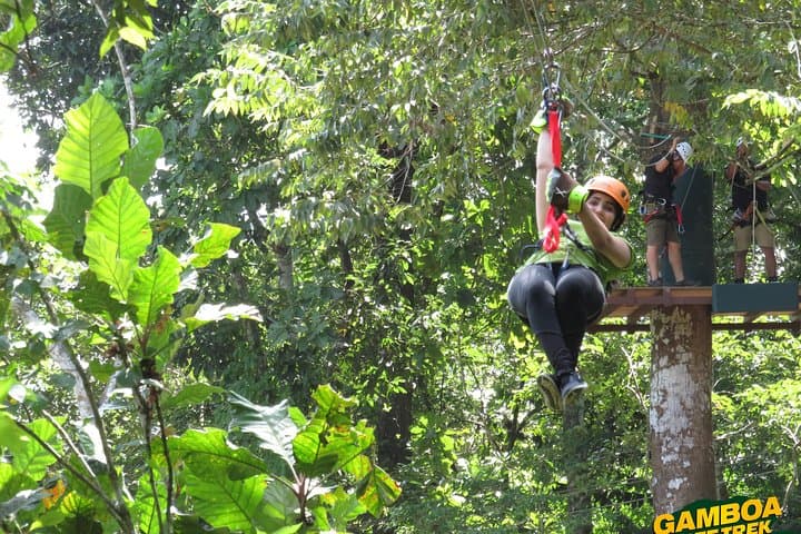 Zipline Gamboa: Glide Over the Panama Canal Rainforest Canopy