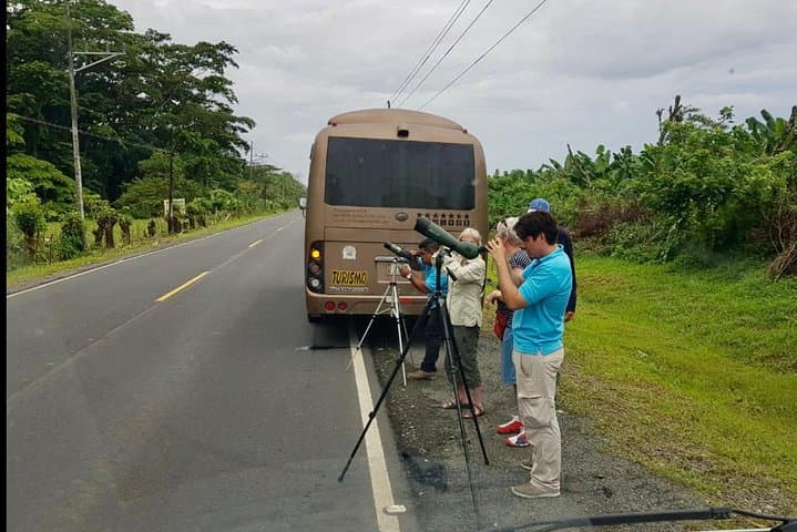 Puntarenas Sightseeing Tour: Half-Day Coastal Highlights & Wildlife Viewing photo 6