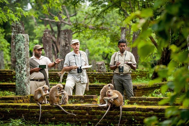 Polonnaruwa Day Tour from Kandy — Ancient City, Hatadage & Parakrama Samudra photo 6