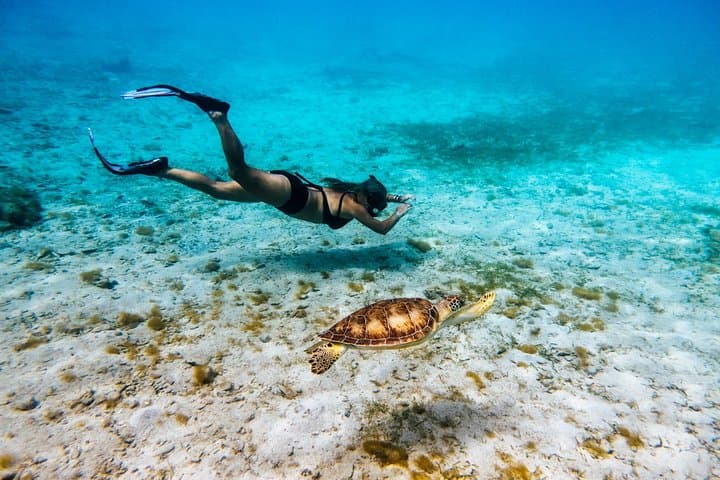 Full-Day Island Boat Tour Around the British Virgin Islands — Snorkel, Beaches & Willy T photo 2
