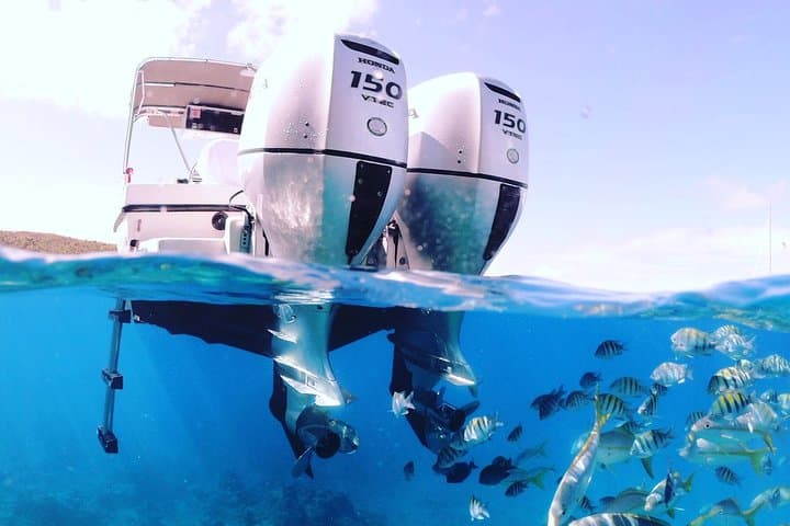 Full-Day Island Boat Tour Around the British Virgin Islands — Snorkel, Beaches & Willy T photo 6
