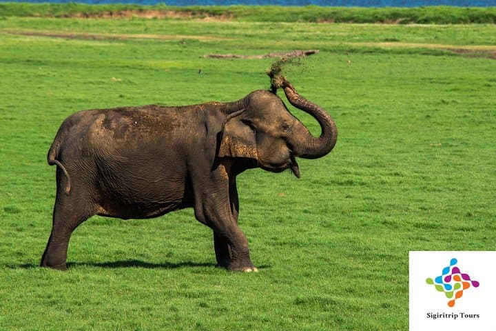 Two-Week Sri Lanka Round Tour with Private Driver: A Tailored Road-Trip Itinerary photo 5
