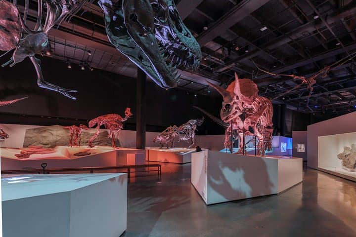 What to Expect at the Houston Museum of Natural Science: Permanent Exhibit Hall Guide photo 1