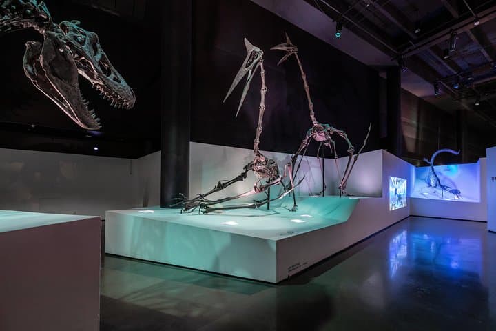 What to Expect at the Houston Museum of Natural Science: Permanent Exhibit Hall Guide photo 2