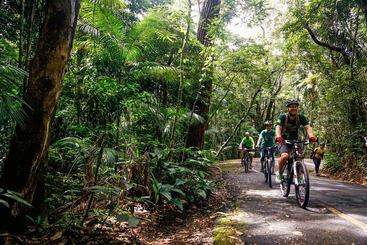 Mountain Biking Tijuca Rainforest: Vista China to Ipanema photo 4