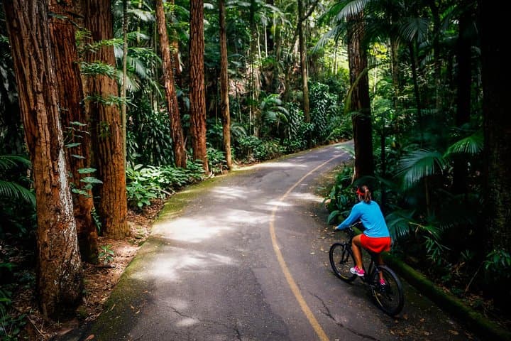 Mountain Biking Tijuca Rainforest: Vista China to Ipanema photo 5