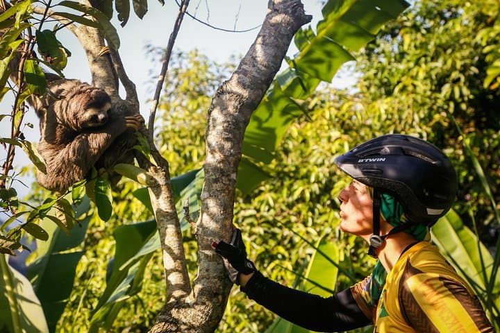 Mountain Biking Tijuca Rainforest: Vista China to Ipanema photo 6
