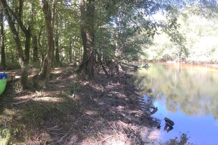 Overnight at Riverside Platform Campsite on Lynches River — Paddle-In Screened Camping photo 5