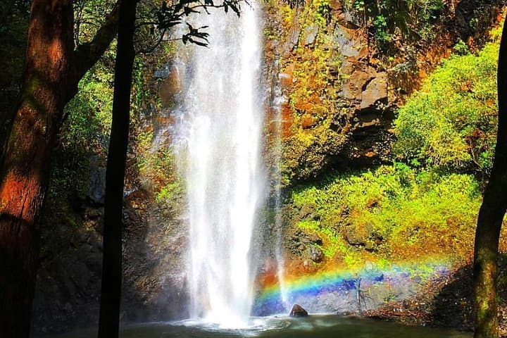 Wailua River Kayak & Secret Falls Hike — Guided Day Trip in Kauai photo 6