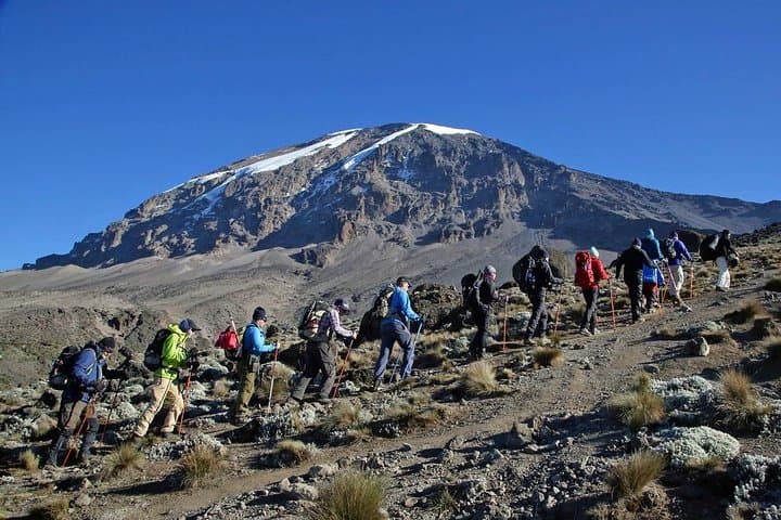 Kilimanjaro Lemosho Route: 8-Day Summit Trek from Moshi