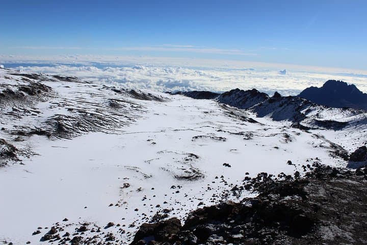 Kilimanjaro Lemosho Route: 8-Day Summit Trek from Moshi photo 5