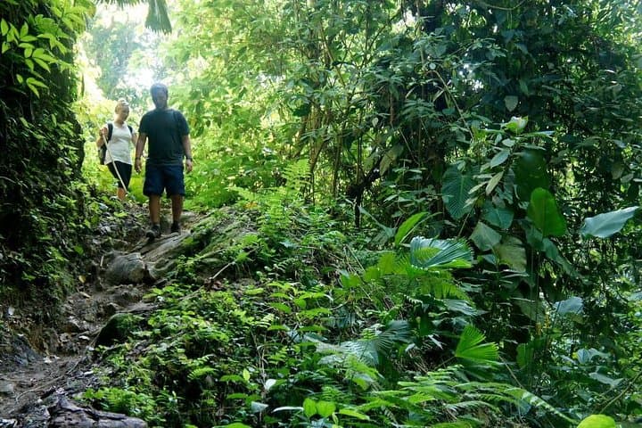 Lost City Trek: 7-Day Sierra Nevada Jungle Expedition (Ciudad Perdida) photo 5