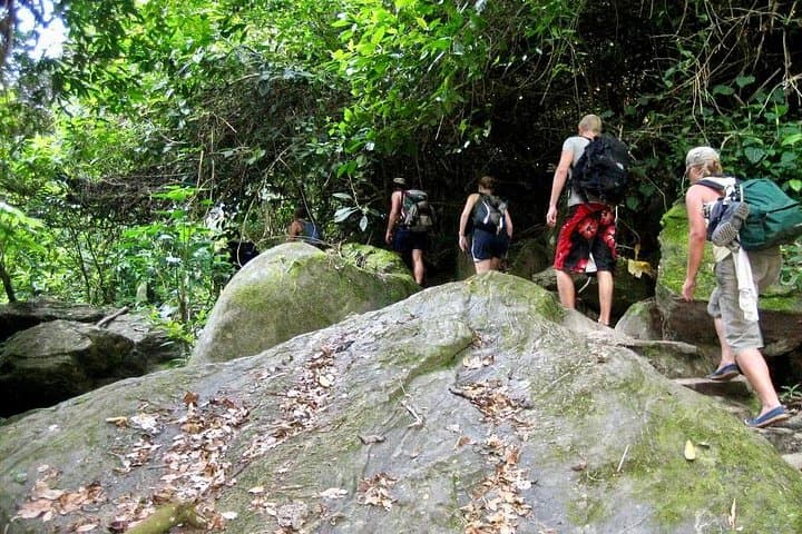 Lost City Trek: 7-Day Sierra Nevada Jungle Expedition (Ciudad Perdida) photo 4