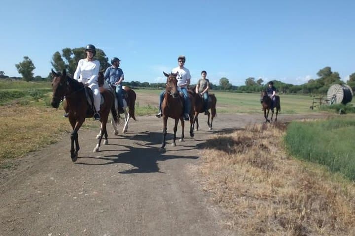 Horseback Picnic in Rome: Ride the Pineta di Castelfusano to Ancient Ostia photo 4