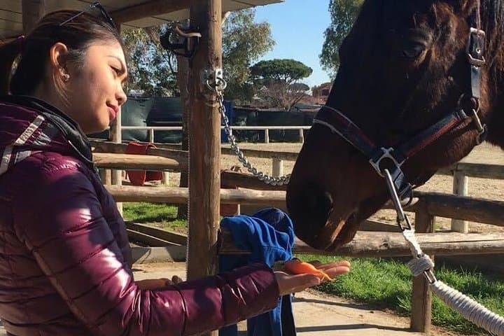 Horseback Picnic in Rome: Ride the Pineta di Castelfusano to Ancient Ostia photo 2
