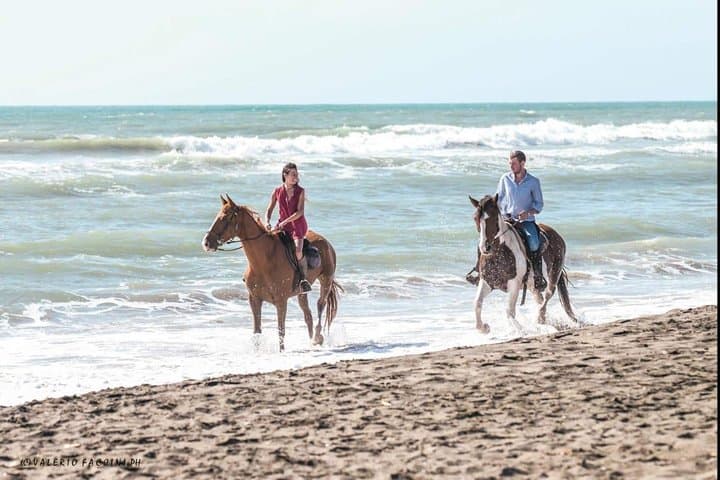 Beach Horseback Riding near Rome: Ostia Coastal Ride with Aperitif photo 1