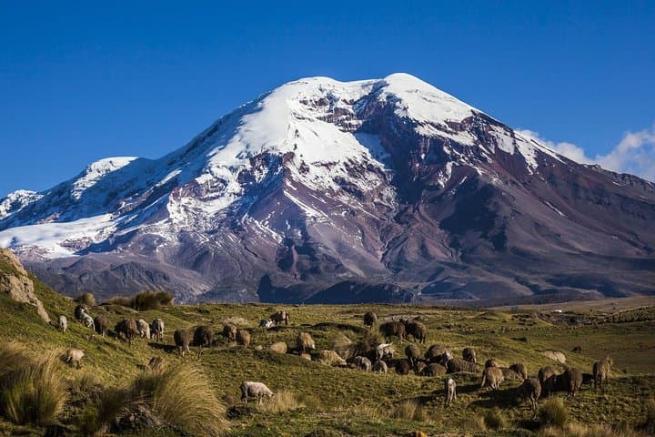 Hike Chimborazo to Laguna Condor Cocha — Day Trip from Quito photo 2
