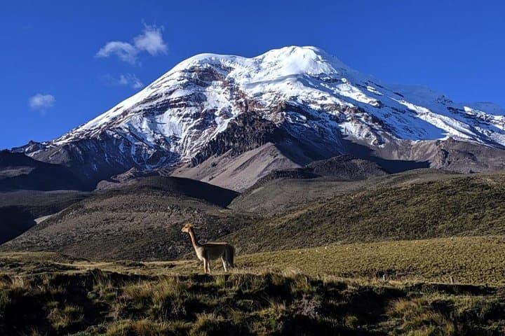 Hike Chimborazo to Laguna Condor Cocha — Day Trip from Quito photo 5