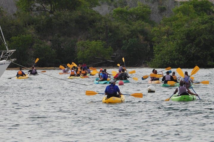 Night Kayaking Laguna Grande: Bioluminescent Bay Tour from Fajardo photo 2