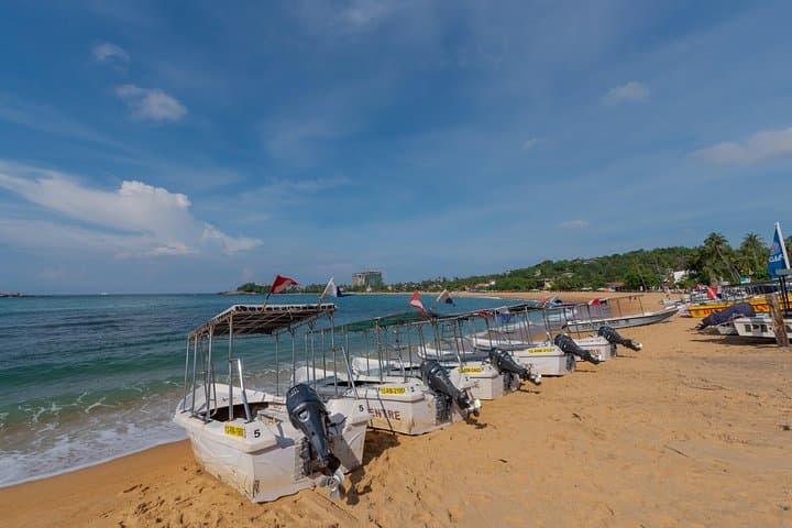 PADI Scuba Diver Course in Negombo — Learn to Dive to 12m photo 4