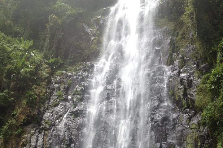 Materuni Waterfalls & Chagga Coffee Tour — Moshi Half-Day Experience