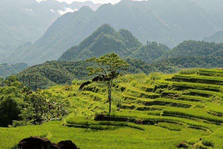 Mai Chau to Pu Luong Nature Reserve: 2-Day Trekking, Cycling & Homestay Adventure photo 2