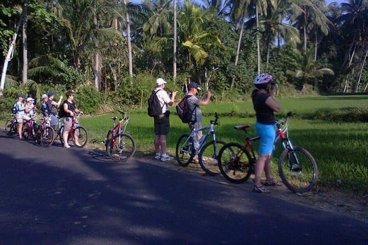 Cycle Lombok's Tempos Rice Fields, Hand-Weaving Villages & Mount Pengsong photo 2