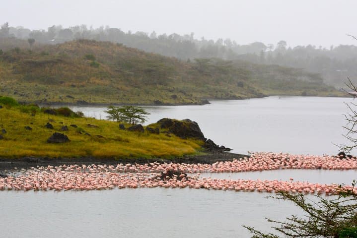 Walking with Mount Meru: Full-Day Guided Tour in Arusha National Park photo 5