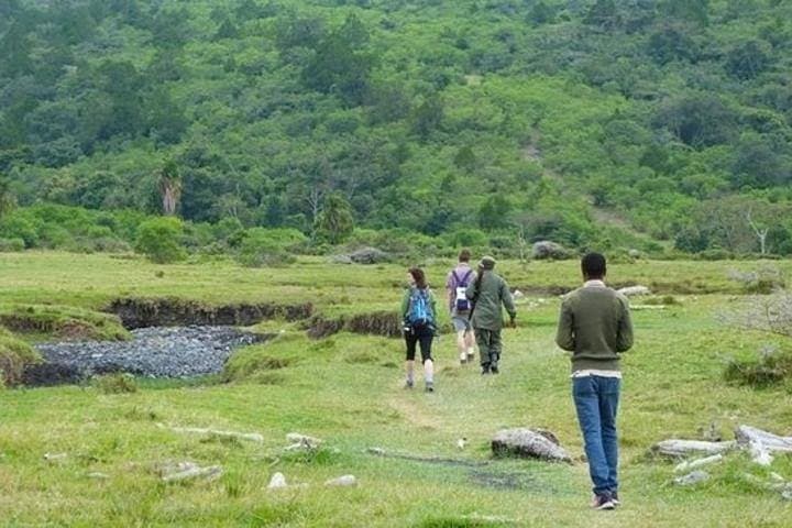 Walking with Mount Meru: Full-Day Guided Tour in Arusha National Park photo 6