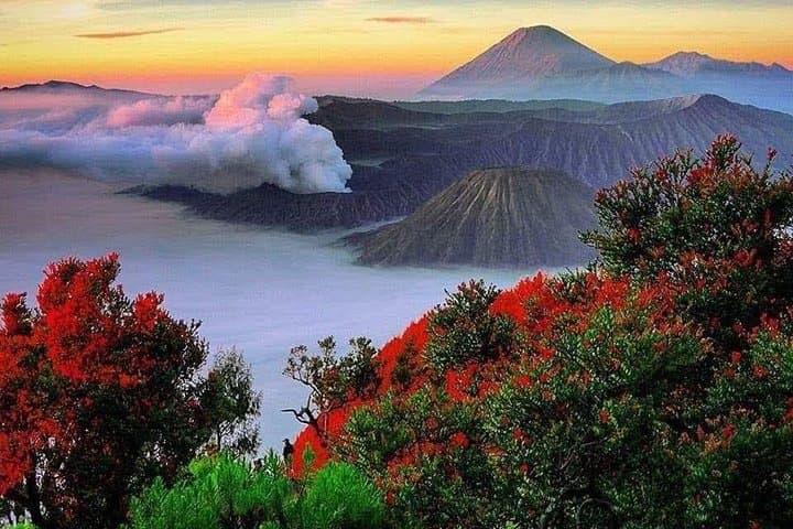 Bromo & Ijen Private Tour from Bali — Blue Fire and Sunrise Volcano Trek