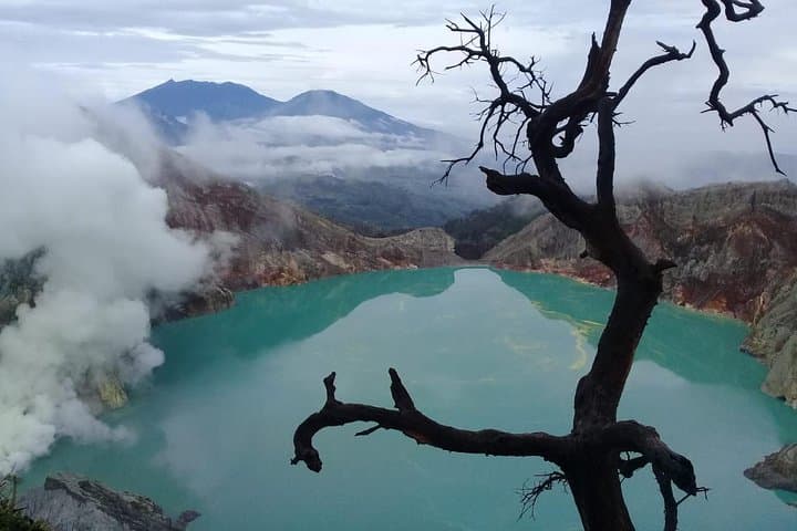 Bromo & Ijen Private Tour from Bali — Blue Fire and Sunrise Volcano Trek photo 2