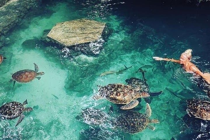 Zanzibar Adventures: Private Stone Town Tour, Snorkeling & Coastal Day Trip photo 2