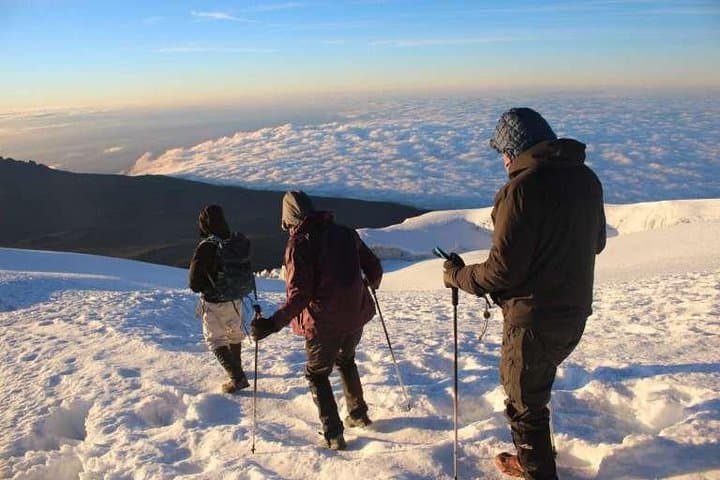 8-Day Lemosho Route Kilimanjaro Summit Trek: Complete Guide photo 2