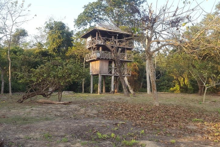 Jungle Tower Night Stay in Chitwan National Park — 2-Night Immersive Wildlife Package photo 2